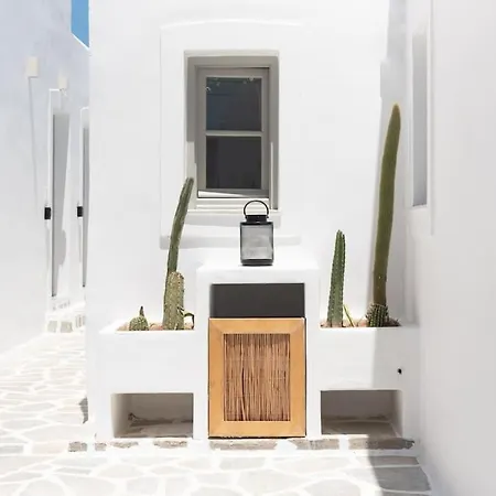 Daire Swell S3 New In