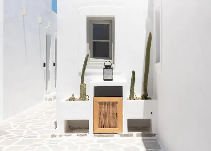 Appartement Swell S3 New In