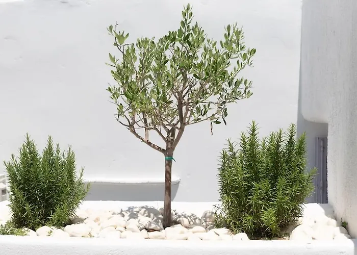 Swell S3 New In Appartement *