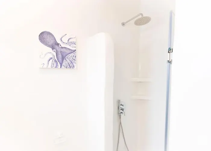 Swell S3 New In Appartement *