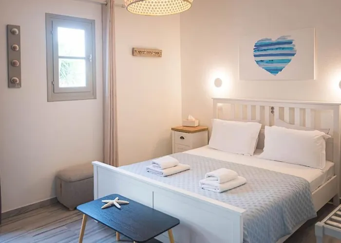 Appartement Swell S3 New In